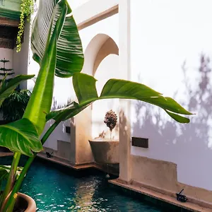 Dar Dounia Riad